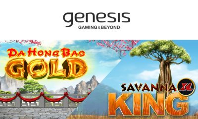 Genesis Gaming Inc. launches Da Hong Bao Gold, a sequel to Da Hong Bao, and Savanna King XL for high rollers!