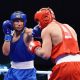 Russian Boxing Federation Wants New Regulator for Bookmakers