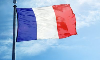French Online Gaming Revenue Grows 22% in Q1 2020