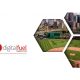 Digital Fuel Marketing Bolsters Affiliate Management Team