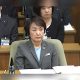 Yokohama Mayor: Local IR Plans Must Wait on Central Government Policy