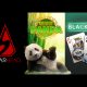 Spearhead Studios releases Blackjack and Giant Panda slot
