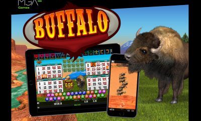 MGA Games’ Buffalo Bingo has been launched for international operators