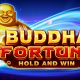 Join the quest for enlightenment with Booongo’s Buddha Fortune