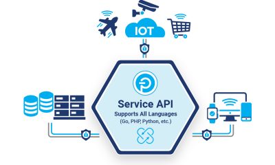 Push Technology Launches Service API