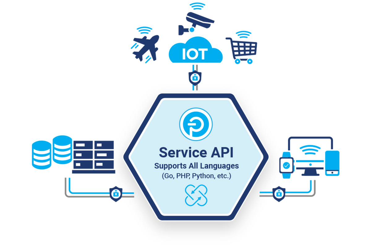 Push Technology Launches Service API