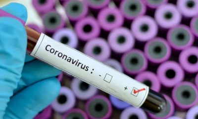 Companies Continue Japan IR Bid Despite Covid-19