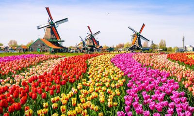 Netherlands Submits Further iGaming Regulations to European Commission