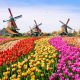 Netherlands Submits Further iGaming Regulations to European Commission