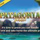 Vibra Gaming Launches Patagonia Wild