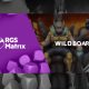 EveryMatrix inks RGS Matrix agreement with Wild Boars