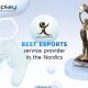 UltraPlay is the Esports Service Provider in the Nordics from BSG Awards 2020