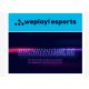 WePlay Esports invests in Organization.GG