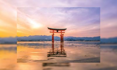 Japan to Postpone IR Application Process by One Year