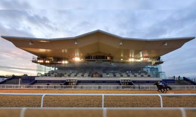 Chinese Government Plans to Develop Horseracing Industry