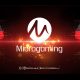 Microgaming Announces Support for New German Regulations