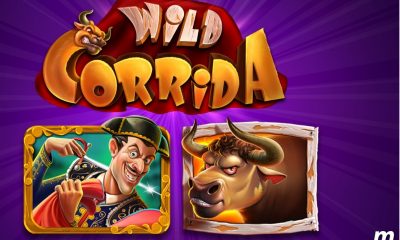 Wild Corida Slot – a Day in the Life of a Bullfighter