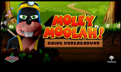 Yggdrasil digs for riches in latest YG Masters release Moley Moolah