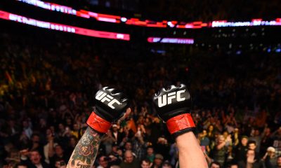 UFC Picks NEW betting app