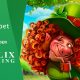 Soft2Bet strengthens offering with Felix Gaming