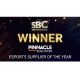 Pinnacle Solution named Esports Supplier of the Year