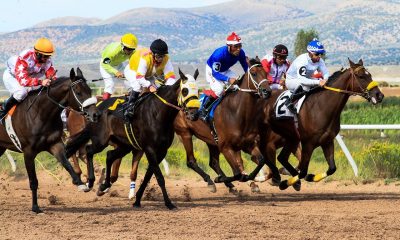 Rolling In It: Most Profitable Racehorse