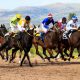 Rolling In It: Most Profitable Racehorse