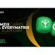 Gamzix stars cooperation with EveryMatrix