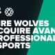 Dire Wolves Acquires AVANT Gaming, Growing The Oceanic Powerhouse