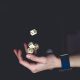 Gambling Research: Academic Approach