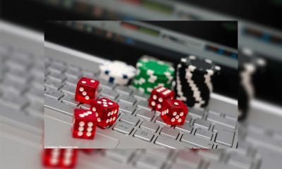 Rajasthan Government to Ban Online Gambling, Betting