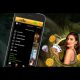 1Click Games introduces to a new online casino - Wilderino.com