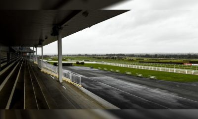 BHA Announces Plans to Strengthen Regulation of Syndicates and Racing Clubs