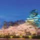 Japan’s Draft Casino Regulations List Nine Games to be Permitted