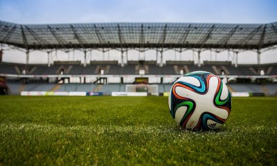 What Has the Pandemic Taught Sports Fans?