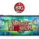 BIG TIME GAMING’S WILD FLOWER DEBUTS EXCLUSIVELY VIA OGS ON FLUTTER GROUP BRANDS