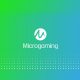 Microgaming building with platform and content provider in Italy!