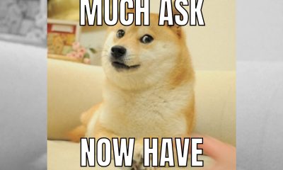 Much Wow! Cloudbet Opens Dogecoin Casino for Business