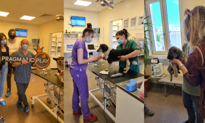 Pragmatic Play Donates €7,700 to Homeless Animal Hospital