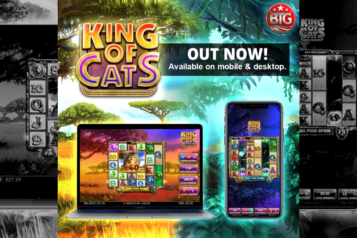 BTG’S KING OF CATS IS TWO GAMES IN ONE, THANKS TO WORLD-FIRST PLAYERSELECTTM MODE