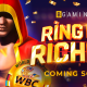 Knockout winnings are to come: BGaming to release a slot in association with World Boxing Council