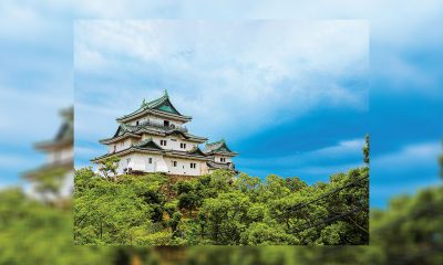 Wakayama to Announce Clairvest Neem as IR Partner