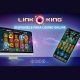 LINK KING GOES ONLINE
