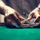 Cambodian Police Shuts Down 7 Illegal Online Gambling Dens