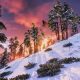 It’s Official: Ghost of Tsushima is the most beautiful open-world game ever made