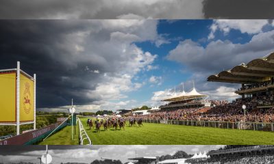 British and Irish racing to receive increased exposure in India via new partnership with Royal Calcutta Turf Club