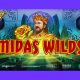 Introducing Midas Wilds from Stakelogic & Reflex Gaming