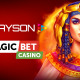 Playson strikes content integration deal with Magic Bet