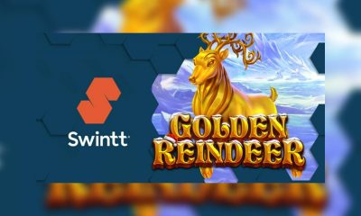 Swintt’s Golden Reindeer spreads the holiday cheer in two new markets