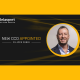 Delasport appoints Filippo Ferri as new Chief Compliance Officer